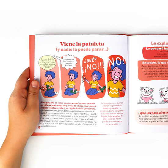 Libro - Mis primeros problemas